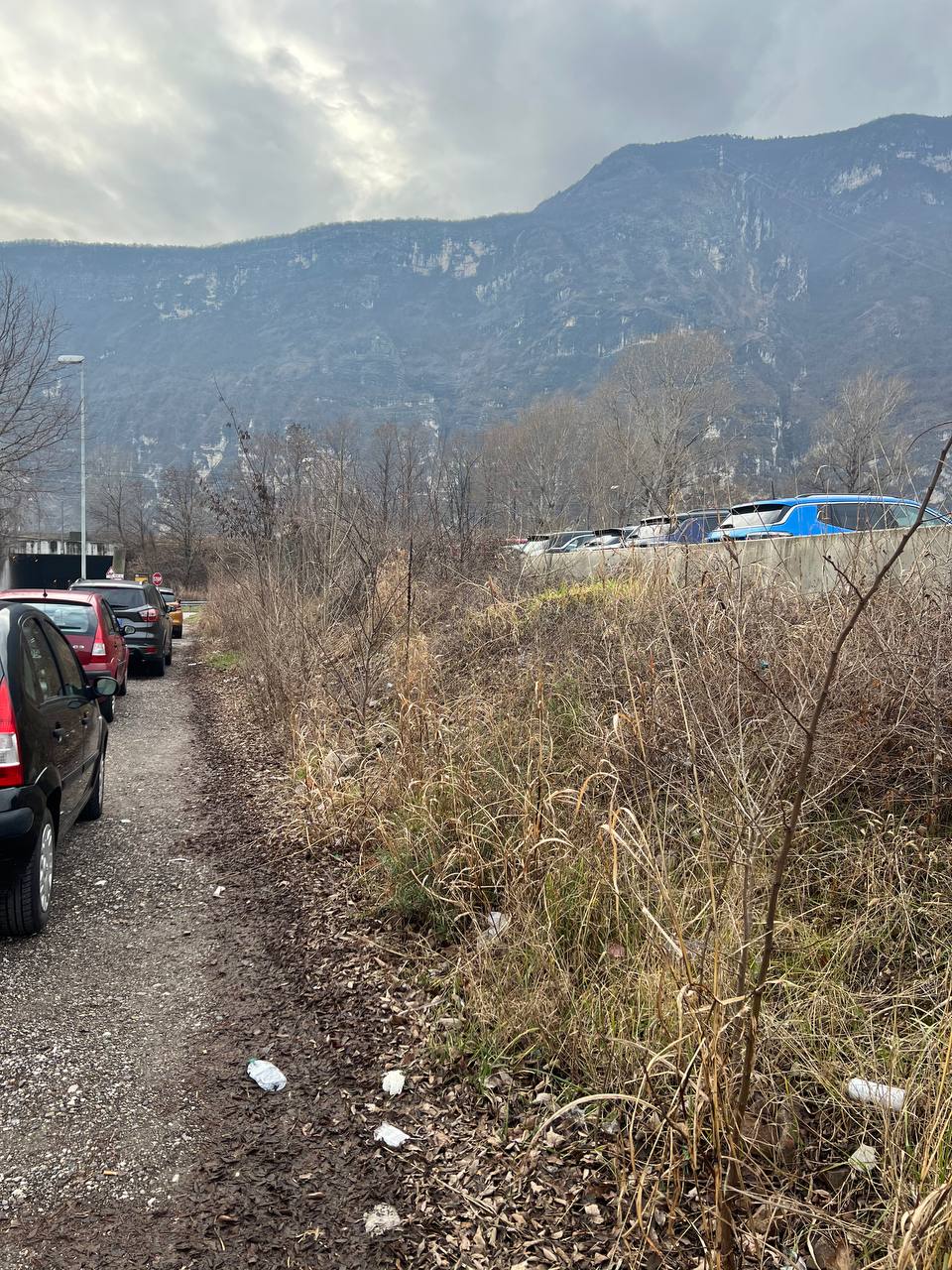 Terreno incolto con erba alta e sterpaglie da recuperare