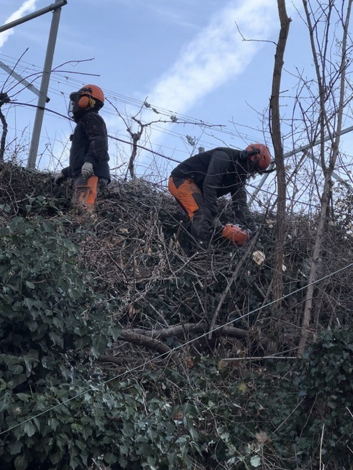 Ultimo Giardiniere al lavoro col decespugliatore tra le ramaglie